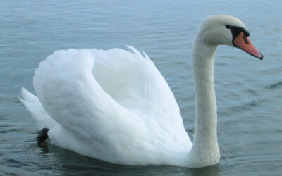 September Newsletter