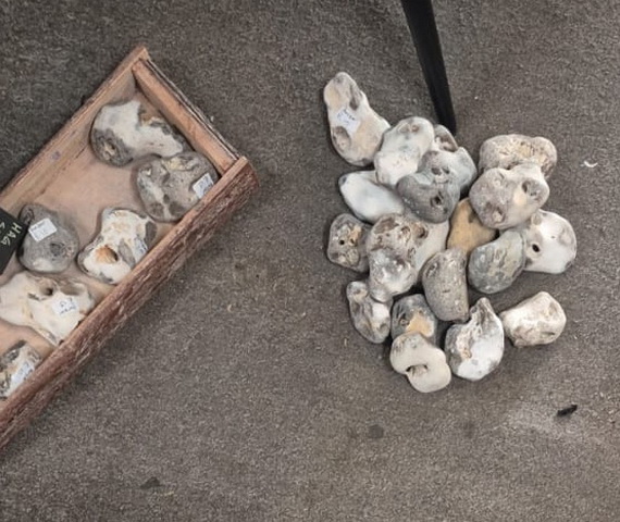 Image of Betty Jane Ware - UK Beach - hag stones.